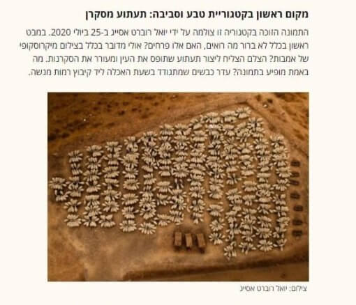 עדות מקומית 2020  "גלובס"